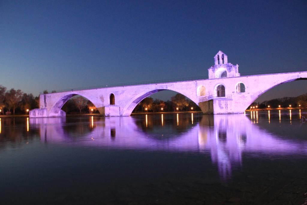 A La Terrasse D'Avignon Daire Dış mekan fotoğraf